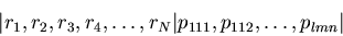 \begin{displaymath}
\vert r_{1}, r_{2}, r_{3}, r_{4}, \ldots , r_{N}\vert
p_{111}, p_{112}, \ldots , p_{lmn}\vert
\end{displaymath}